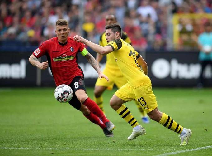 开云平台-霍芬海姆主场战胜弗赖堡稳固德甲中游位置的简单介绍