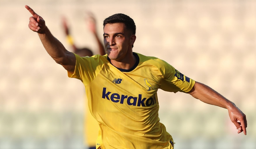 海豚队实力悬殊，难敌对手