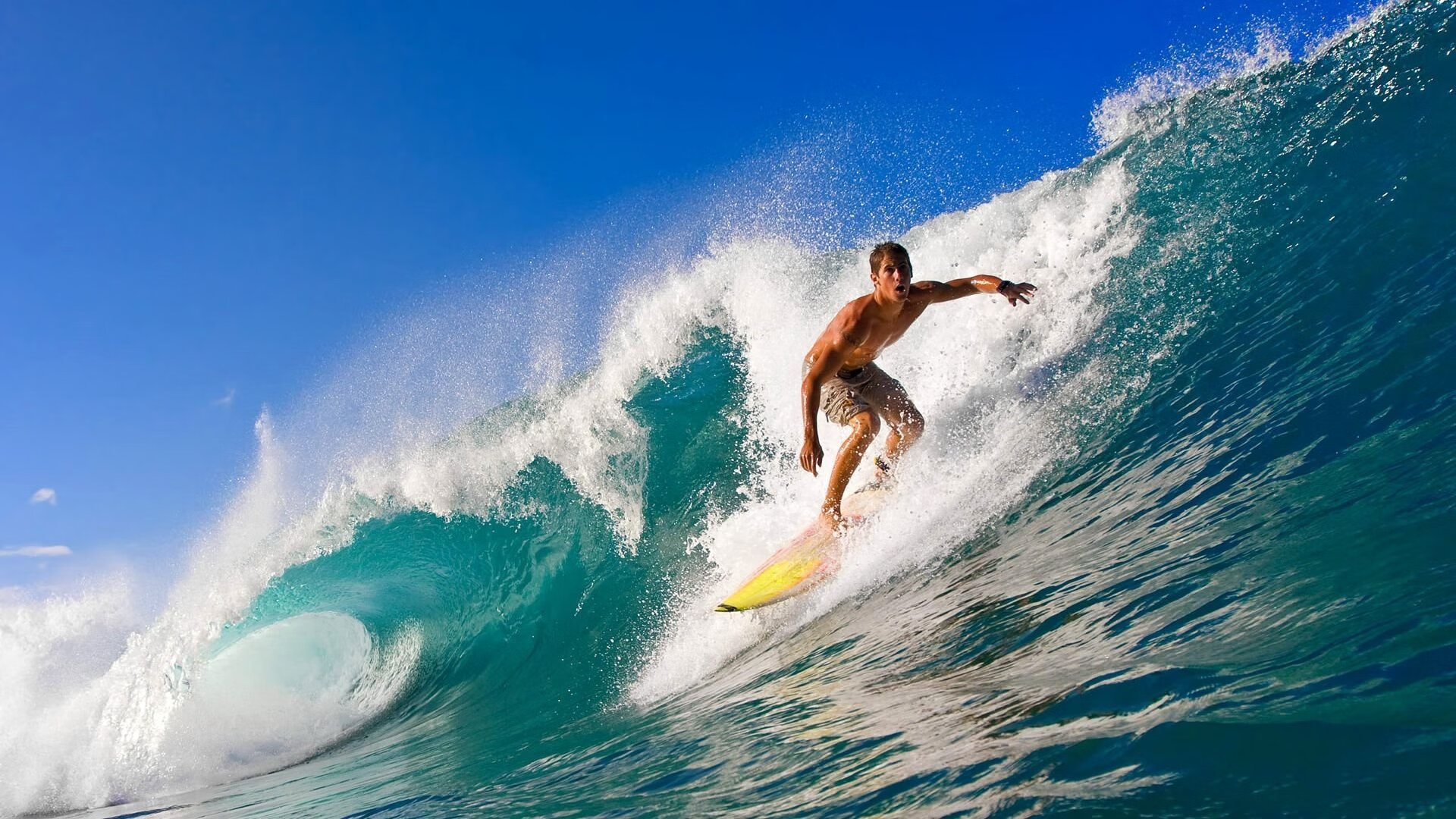 魔笛的航海日志,当智利海潮遇上尼斯月光